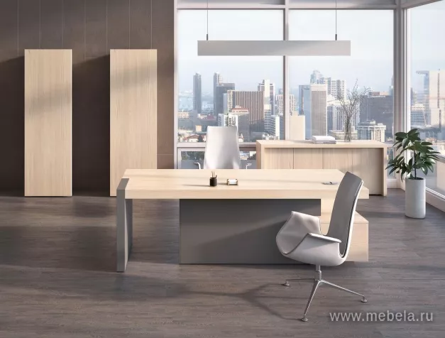 кабинет руководителя Эра