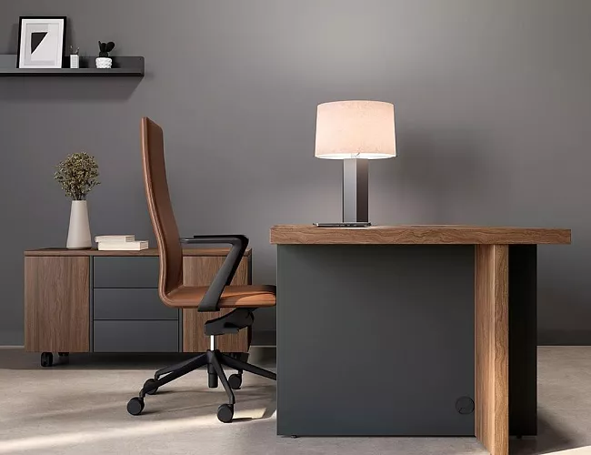 фото кабинет офисный Фабер №2