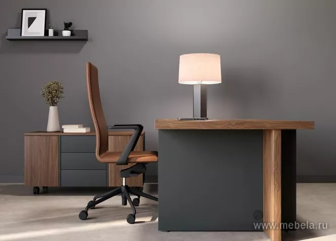 кабинет офисный Фабер