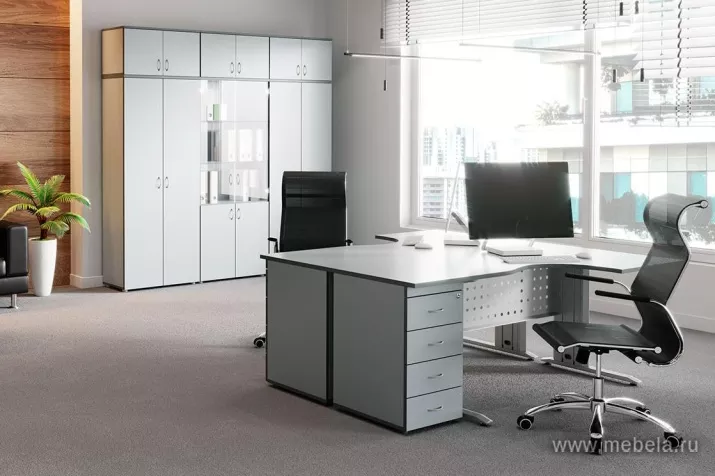 мебель Агат Серый