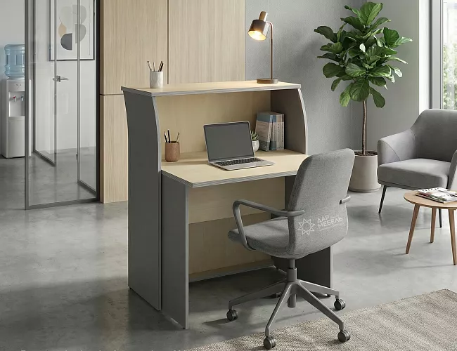 фото ресепшн Рива Клён М №5