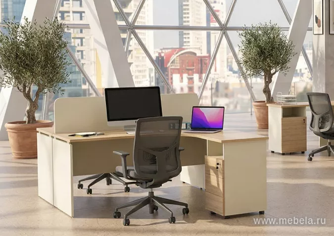 мебель для офиса Рио