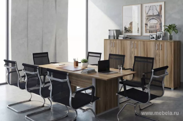 кабинет Аргентум-М