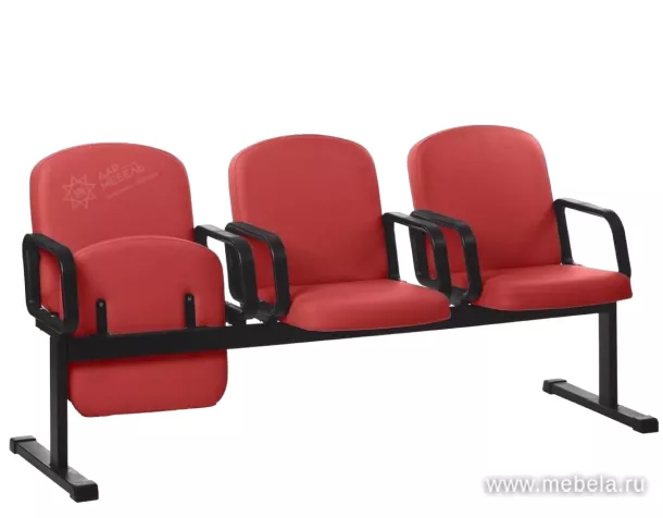 секции Камилла