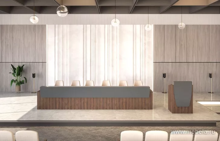 стойка ресепшн Спич