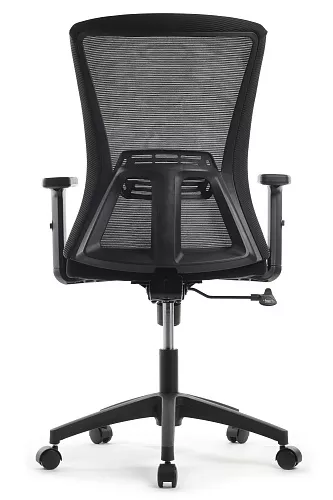 фото кресло RV-B258Y №5