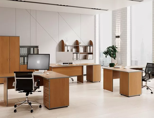 фото мебель Агат Ольха №2