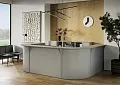 ресепшн Рива Серая