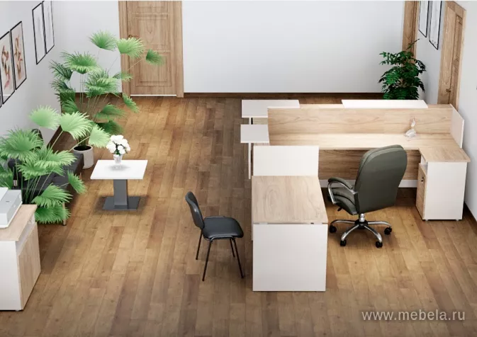 ресепшн Рио