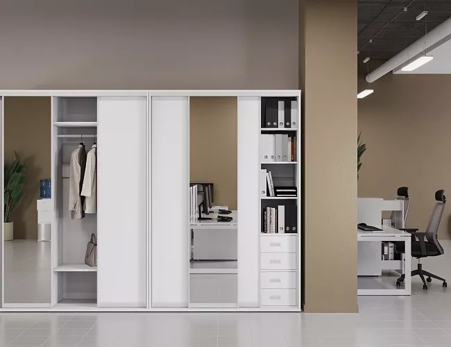 фото Шкафы-Купе Марис Белый №3