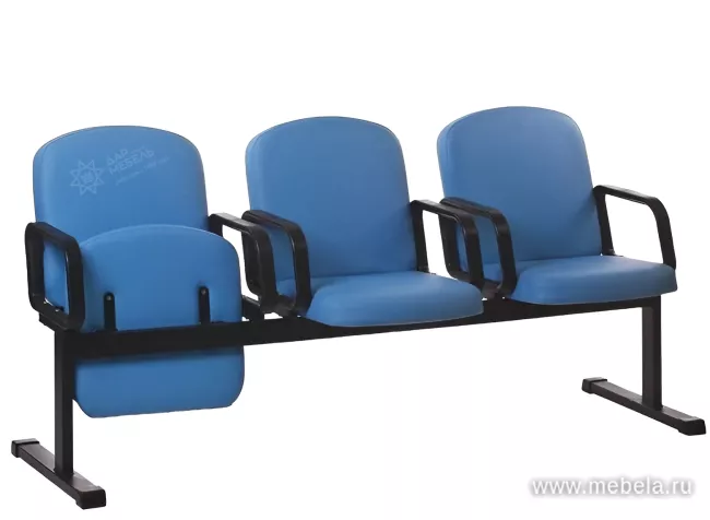 секции Камилла