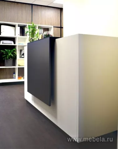 ресепшн Фаста Белый