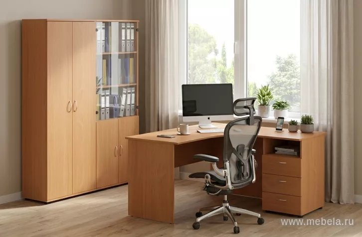Офисная мебель Эко