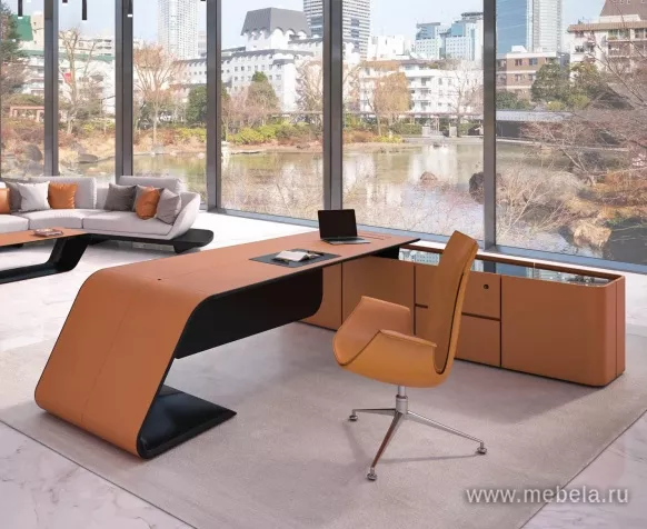 кабинет Бугатти Эко