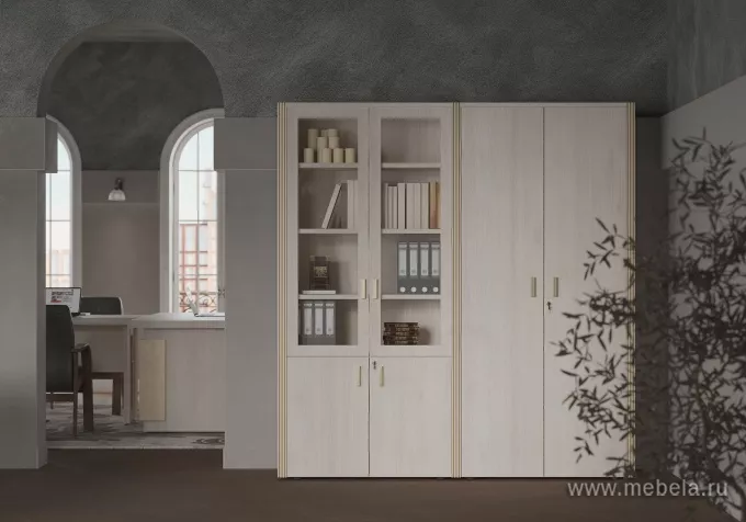 кабинет Чикаго Шамони