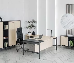 кабинет директора Ринг