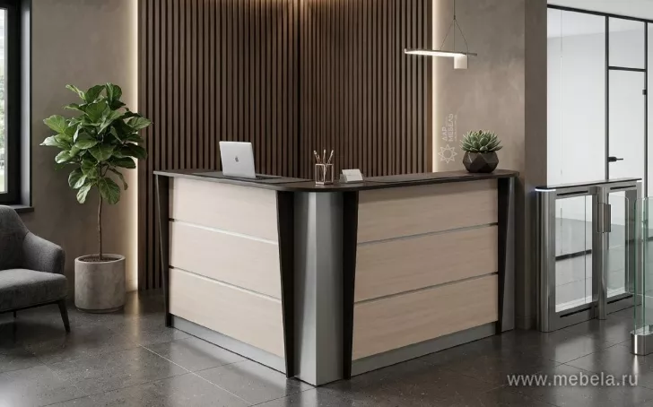 ресепшн Рапид Дуб