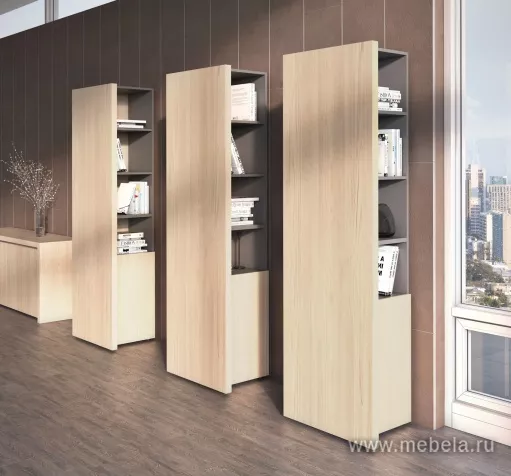 кабинет руководителя Эра