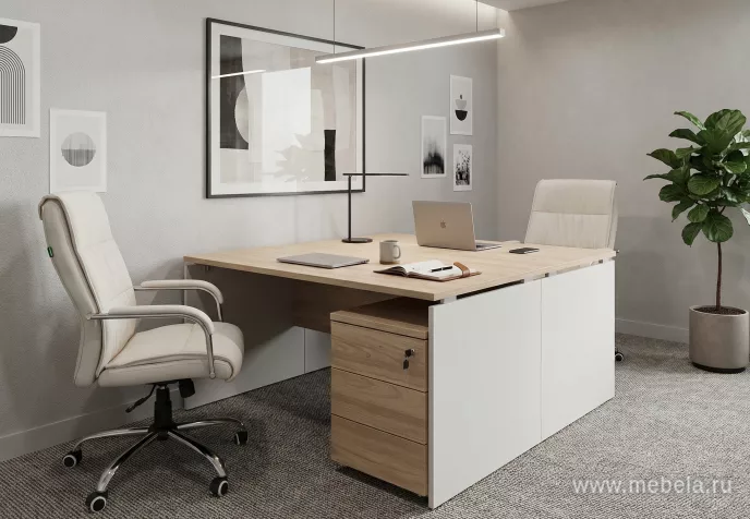 мебель для офиса Рио