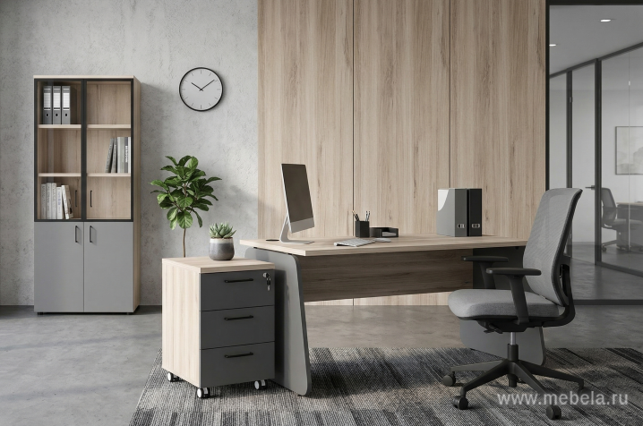 Офисный шкаф для документов низкий закрытый