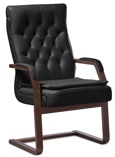 фото кресло Дарвин C (с подушкой)					