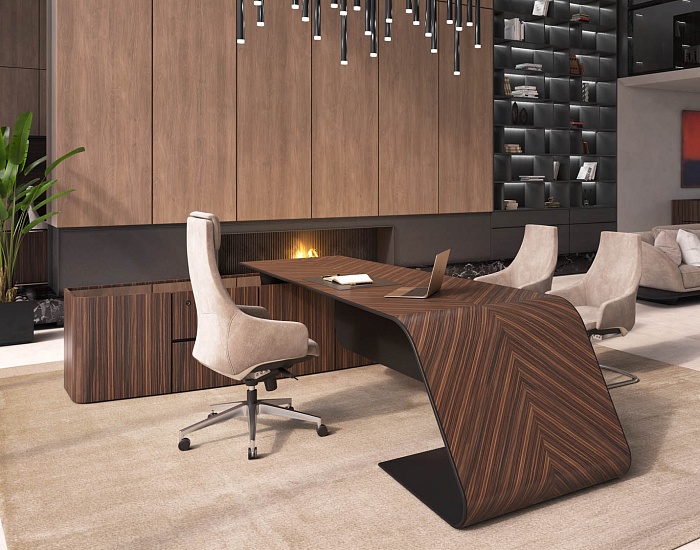 фото кабинет Бугатти					 №3					