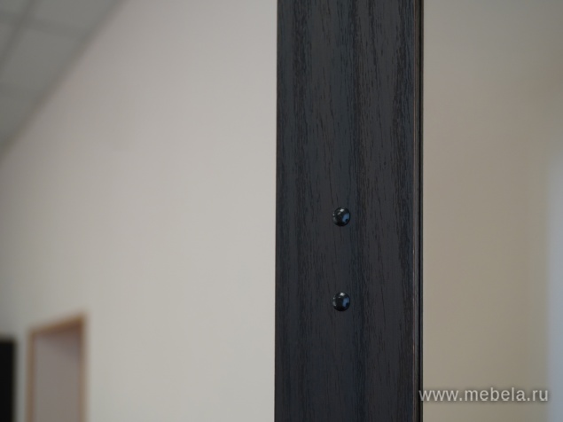 Комбинированный шкаф с гардеробом (задняя стенка ЛДСП 16 мм)