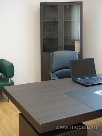 Комбинированный шкаф с гардеробом (задняя стенка ЛДСП 16 мм)