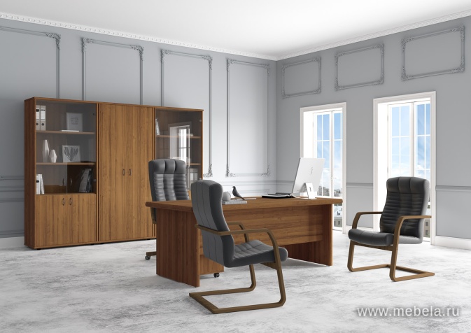 Офисный шкаф низкий узкий глухой