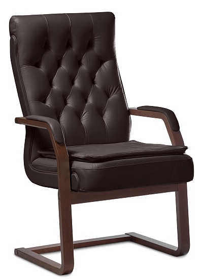 фото кресло Дарвин C (с подушкой)					 №2					