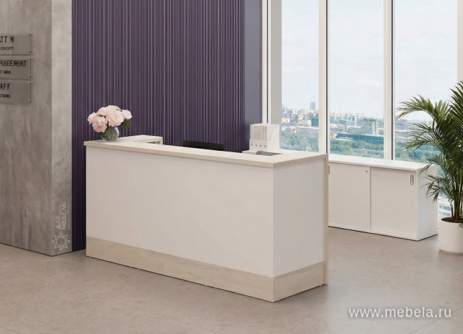 Модуль стойки ресепшен прямой