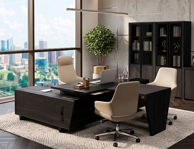 фото кабинет Корнер Каштан