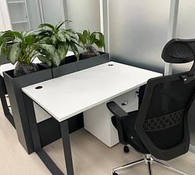 Видис Групп