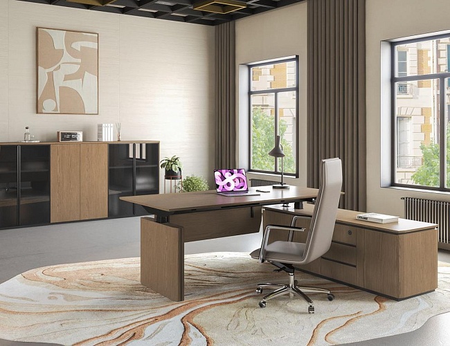 фото Кабинет руководителя Ион №5