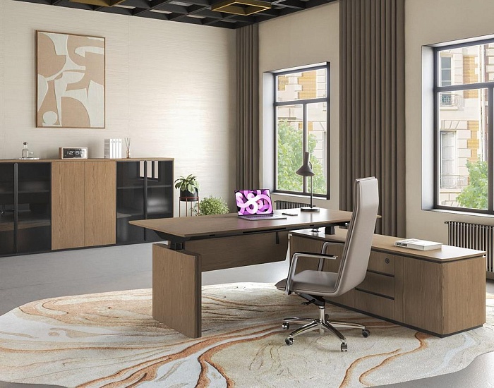 фото Кабинет руководителя Ион					 №5					