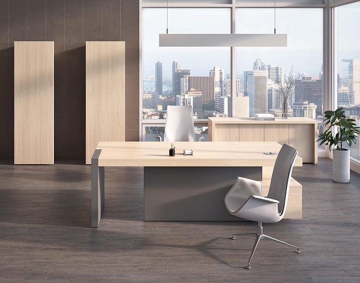 фото кабинет руководителя Эра					 №4					