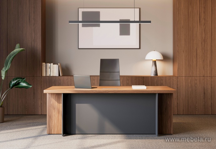 Средний Офисный шкаф-купе