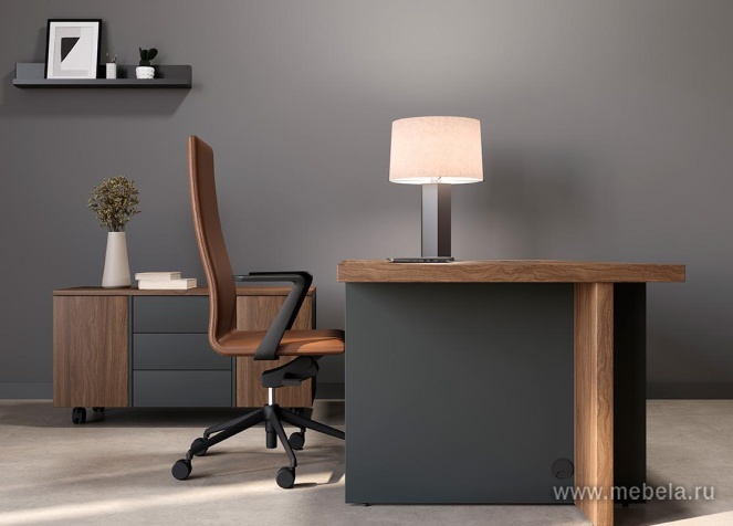 Средний Офисный шкаф-купе