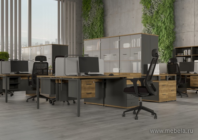 Гардероб узкий глубокий с доводчикам (задняя стенка ЛДСП)