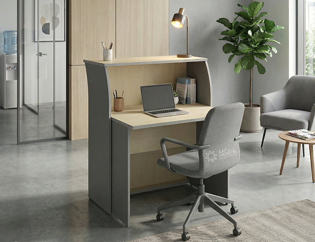 фото ресепшн Рива Клён М №5