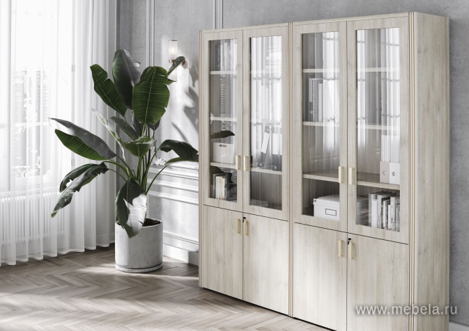 Брифинг-приставка