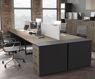 фото мебель Проджект Вяз  №4