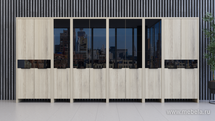 Дверь стеклянная левая 