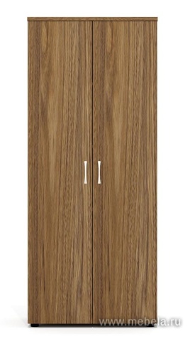 Офисный шкаф закрытый, высокий с полками