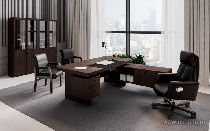 Комбинированный шкаф с гардеробом (задняя стенка ЛДСП 16 мм)