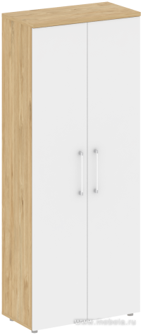 Офисный шкаф высокий широкий