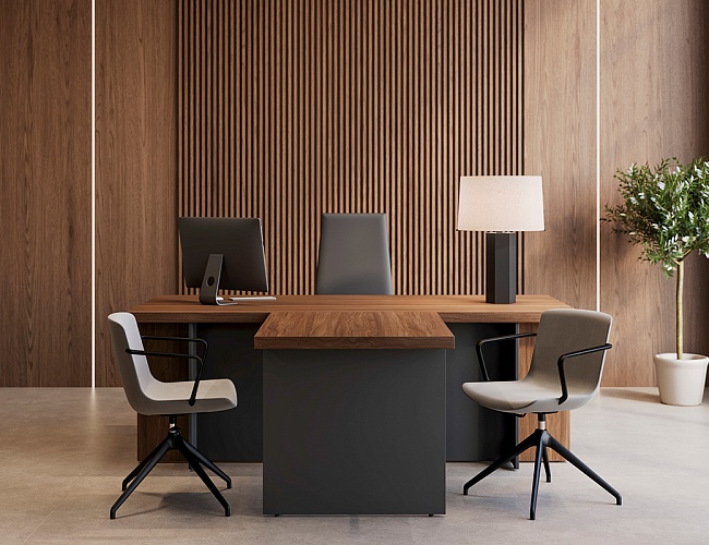 фото кабинет офисный Фабер №3