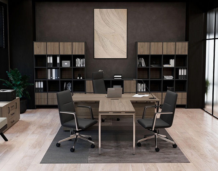 фото кабинет Проджект Люкс Вяз					 №2					