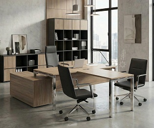 фото кабинет Проджект Люкс Вяз 