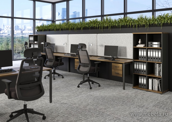 Гардероб узкий глубокий с доводчикам (задняя стенка ЛДСП)